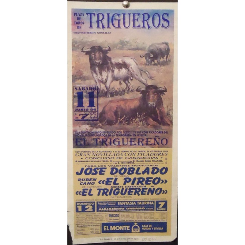 PLAZA DE TOROS DE TRIGUEROS.-11JUNIO  94- MED 17X34 CTM
