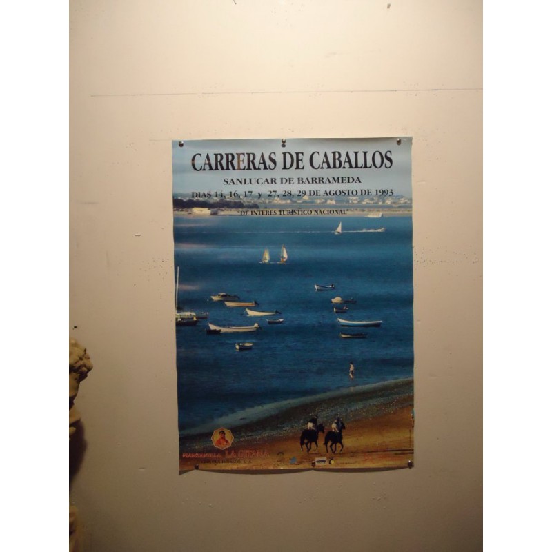 CARRERAS DE CABALLO 1993.- MED 50X 70 CTM          2 UNI